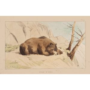 The Bear by E.Laporte - Contemporary Artwork