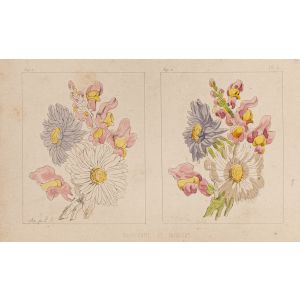 The Flowers