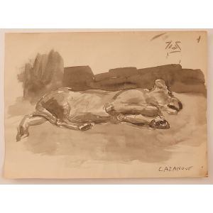 The Dog