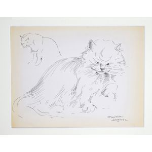 The Cat