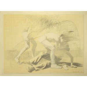 The Fight