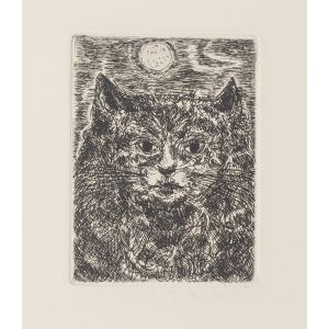 The Cat