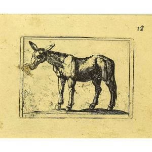 Mule