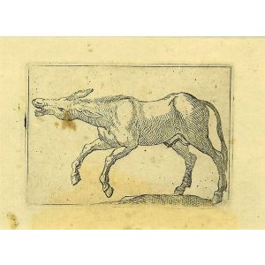 The Donkey