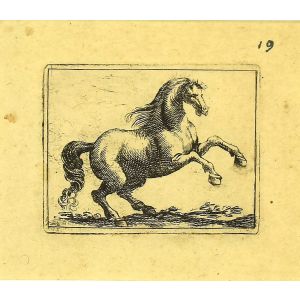 The Horse