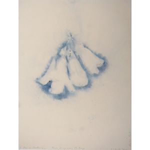 Paulownia Flower by Andrea Fogli -  Contemporary Artworks 