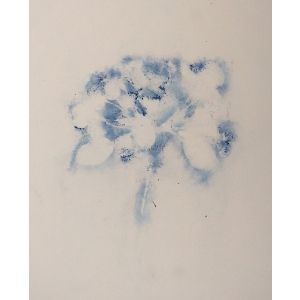 Apple Blossoms 