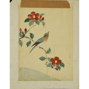 Bird on the branch