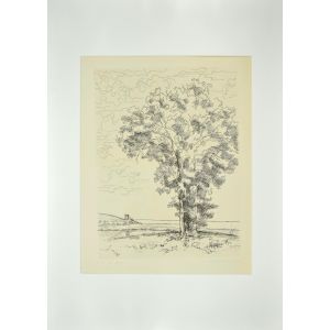 The tree on the sea