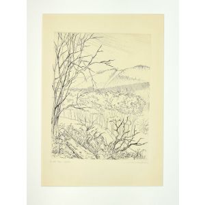 The valley