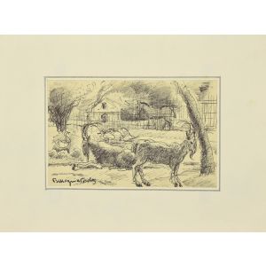 Animals in the Enclosure
