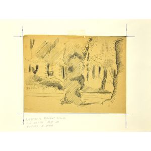 In the Garden