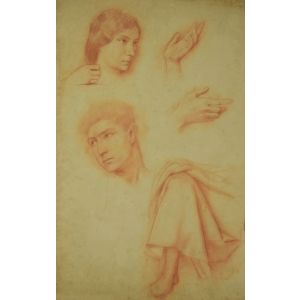 Anatomical Studies