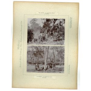 Australien - Im australischen busch