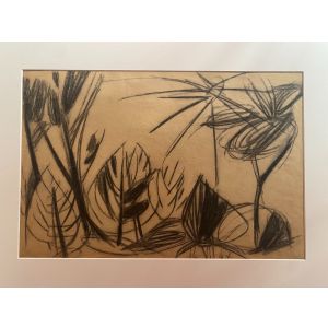 Plants and Sun