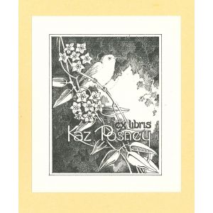 Ex Libris Kaz Posney