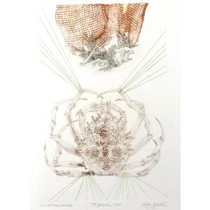 The Crab