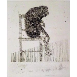 Monkey 