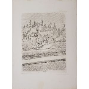 Summer Landscape