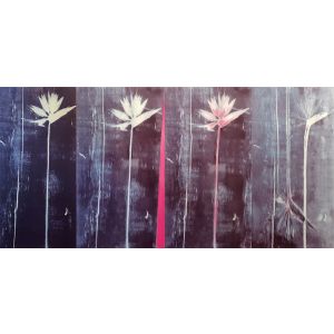 Flowers by Laura D'Andrea - Contemporary Artwork