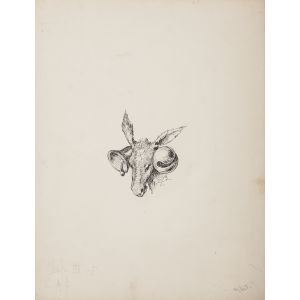 Donkey with Bells