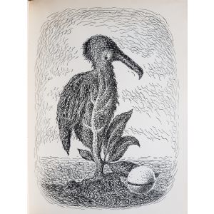 Les Chants de Maldoror