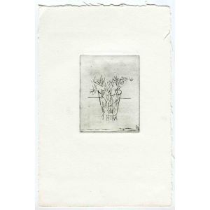 The Vase 