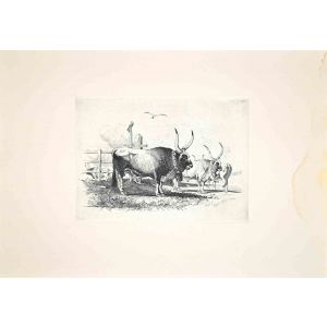 Bulls in the Roman Countryside