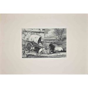 Bulls in the Roman Countryside