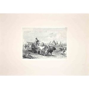 Bulls in the Roman Countryside