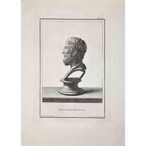 Profile of Ancient Roman Bust