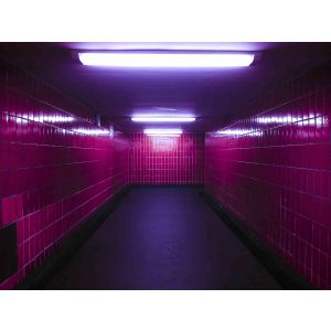 Sergio Picciaredda - Pink Wall - Original Photographs