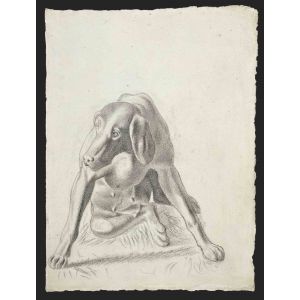 Portrait of Dog 