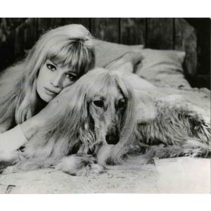 Vintage Portrait of Monica Vitti - Original Photographs