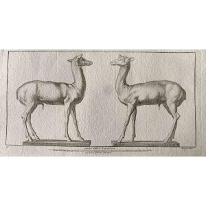 Animal Figures of Ancient Rome