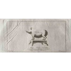 Animal Figures of Ancient Rome
