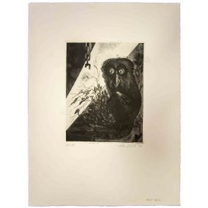 The Owl