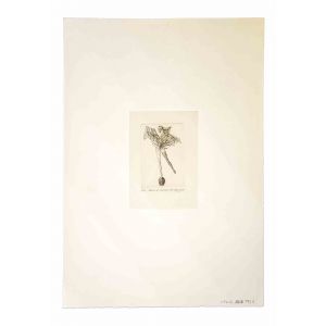 Salome's Dance