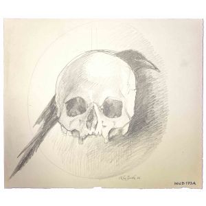 Skull