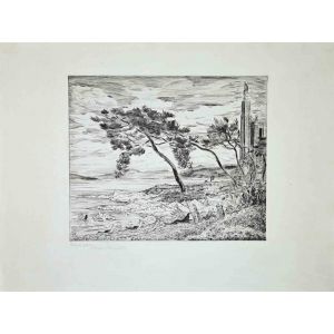 The Windy Shore