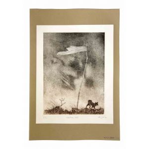 Lonely Flag