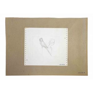 The Nude and Parrot