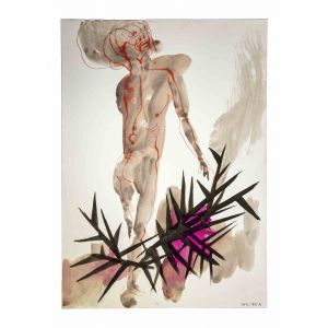 The Wild Nude