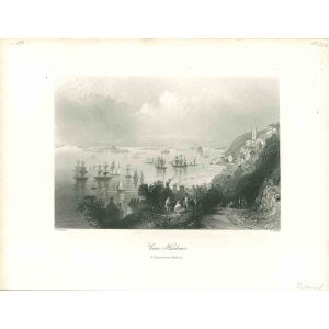 Cove Harbour