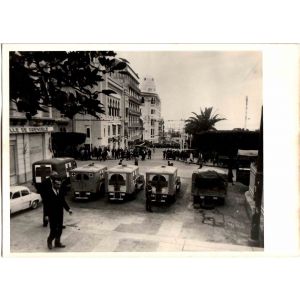 Ambulances, Algeria, historical photograph