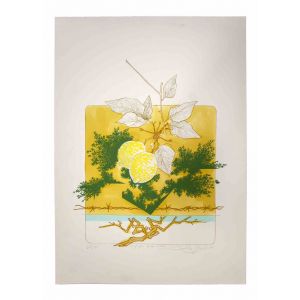  Still Life