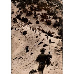 Military in Algeria, Historical Photograph - SOLD