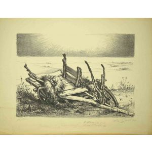 Desert Landscape