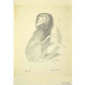 Lemur