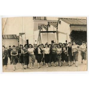 Working Women - Historical Photographs About the Feminist Movement